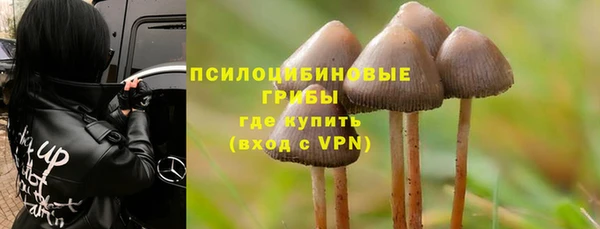 спайс Абаза