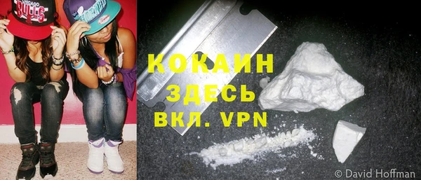 МДПВ Алзамай