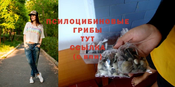 МДПВ Алзамай