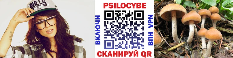 Галлюциногенные грибы MAGIC MUSHROOMS Назрань